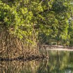 Pronóstico: lluvias intensas y tormentas en el norte del país