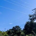 Dominicana clasifica a la final del torneo de voleibol femenino